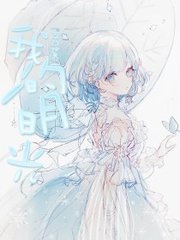 福建导航大菠萝